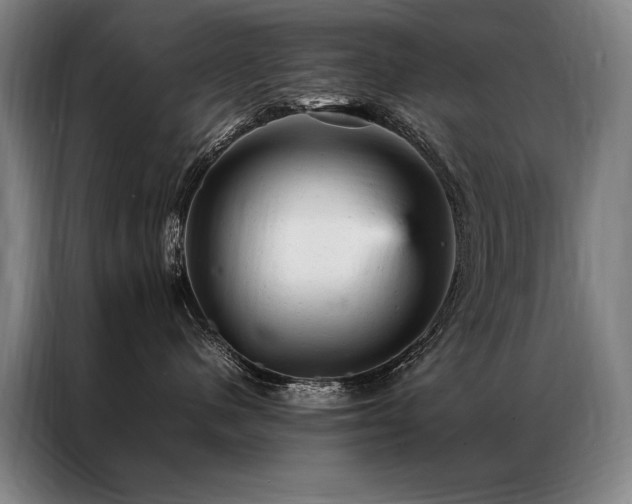X0000087310480200704201213