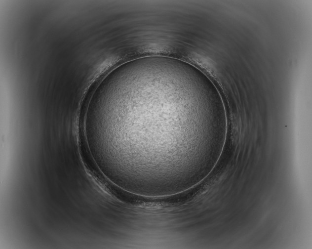 X0000087310482200704201213