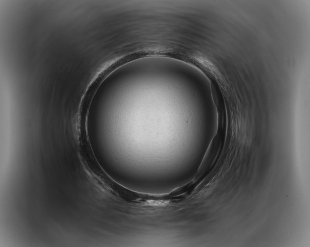 X0000087310484200704201213