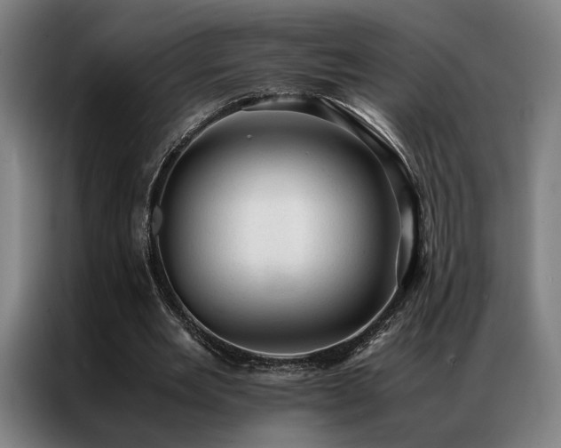 X0000087310485200704201213
