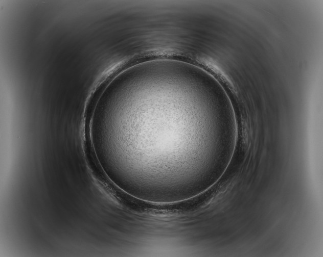 X0000087310486200704201213