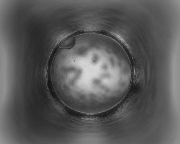 X0000087310487200704201213