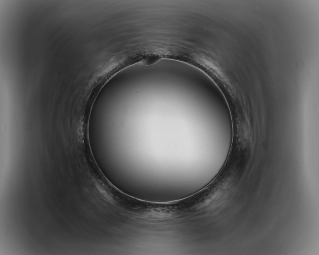 X0000087310489200704201213
