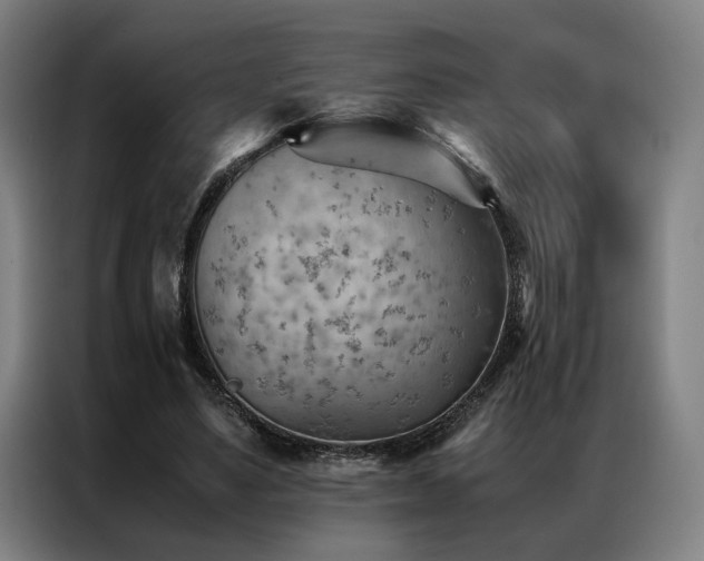 X0000087310491200704201213