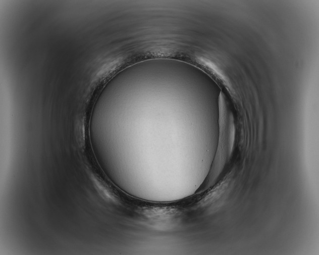 X0000087310493200704201213