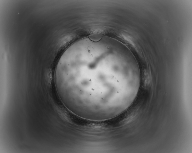X0000087310495200704201213