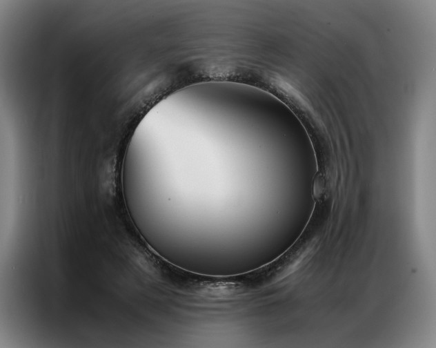 X0000087310497200704201213