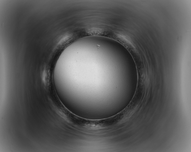 X0000087310498200704201213
