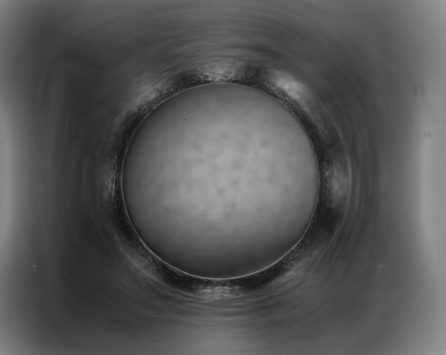 X0000087310499200704201213