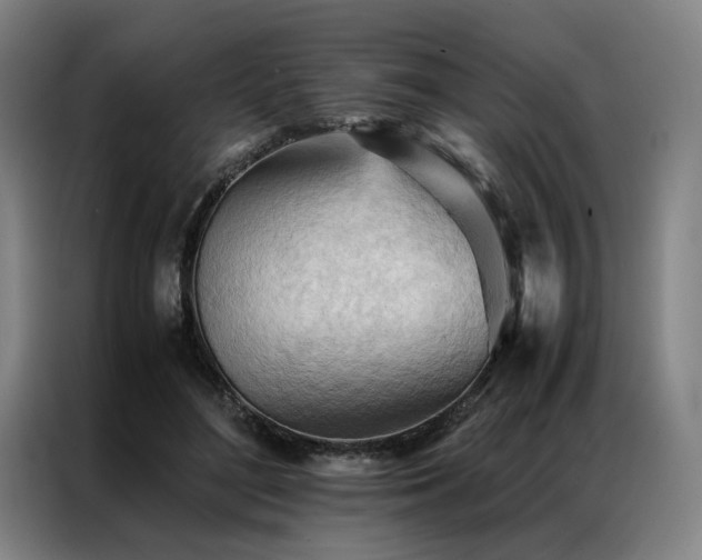 X0000087310500200704201213