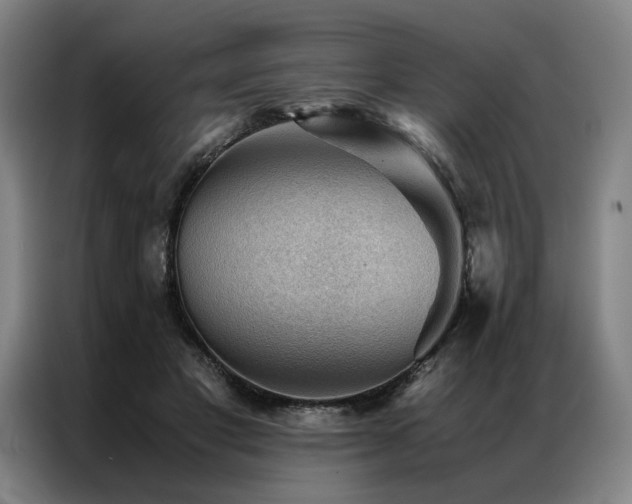 X0000087310501200704201213