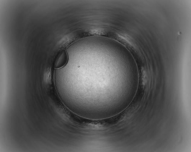 X0000087310502200704201212