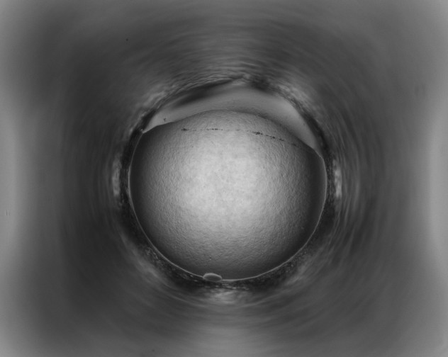 X0000087310504200704201212