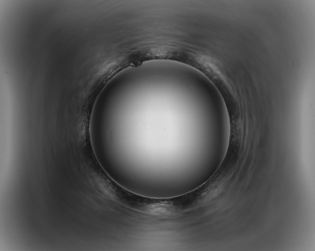 X0000087310505200704201212