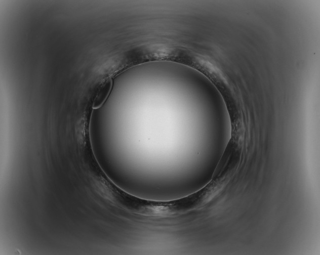 X0000087310509200704201212