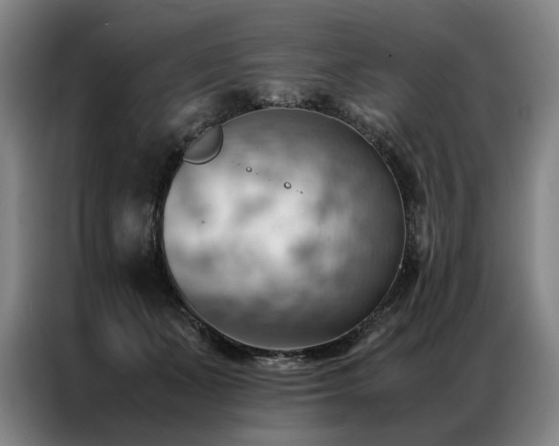 X0000087310511200704201212