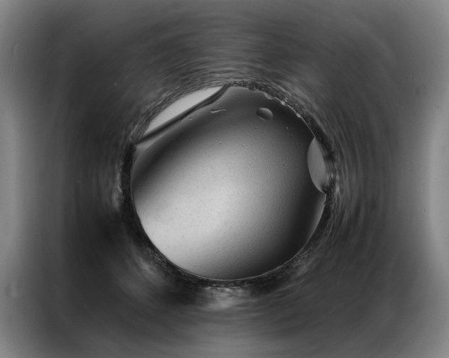 X0000087310512200704201212