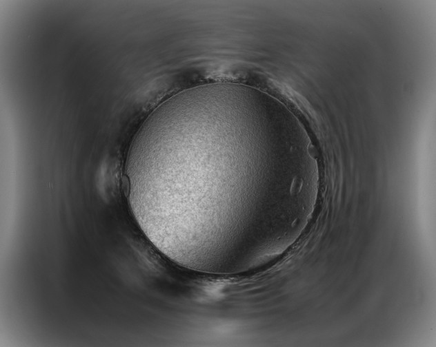 X0000087310513200704201212