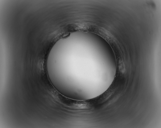 X0000087310514200704201212