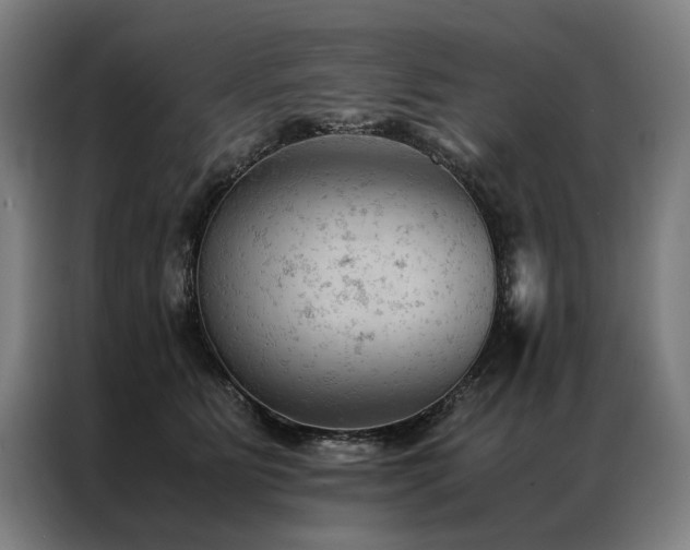 X0000087310515200704201212