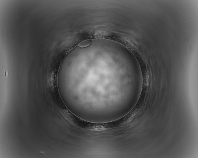 X0000087310519200704201212