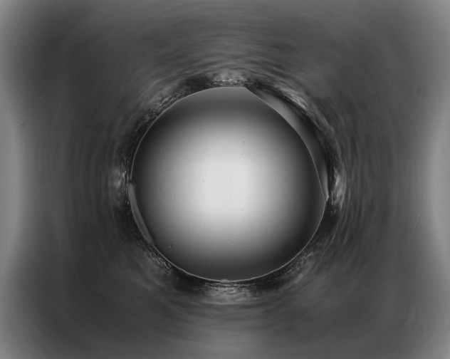 X0000087310521200704201212