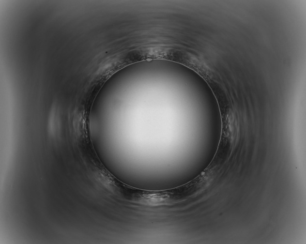 X0000087310522200704201212