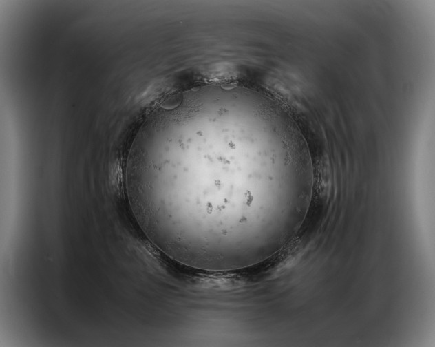X0000087310523200704201212