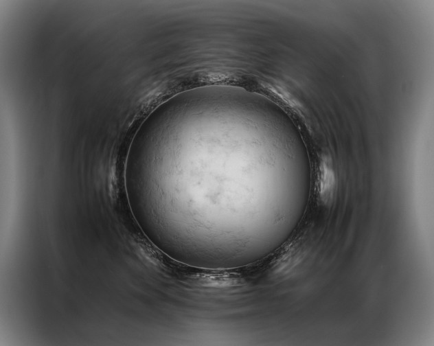 X0000087310524200704201212