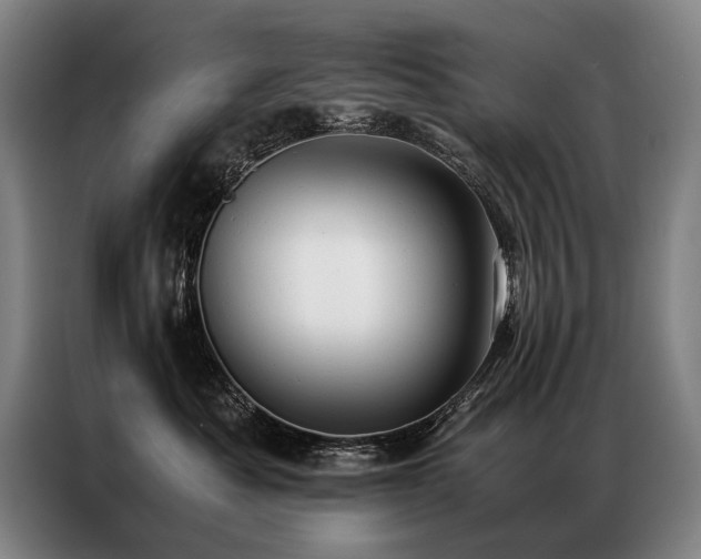 X0000087310525200704201212