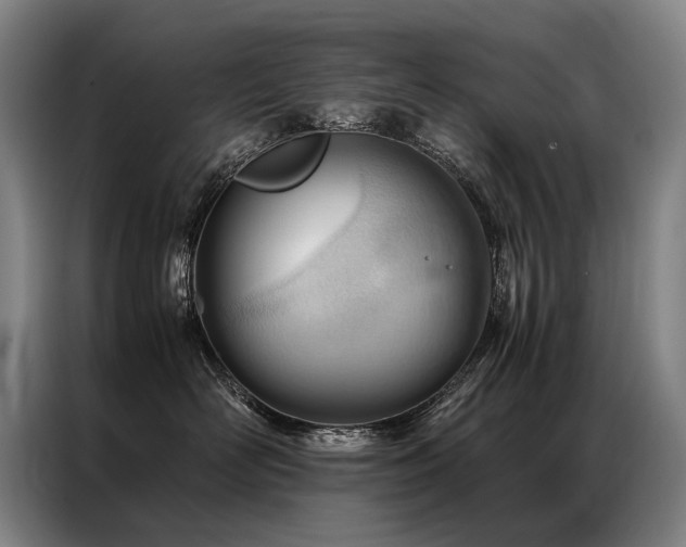X0000087310526200704201212