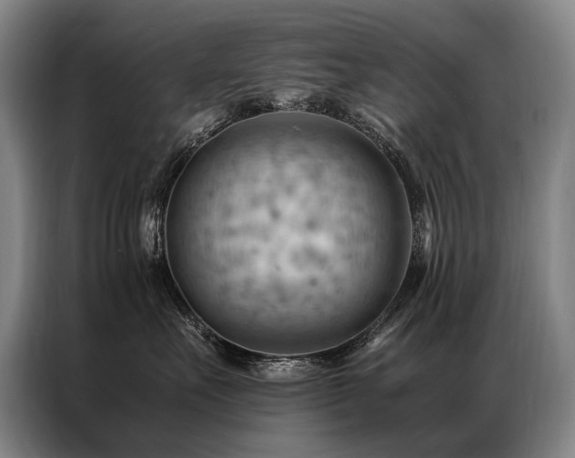 X0000087310527200704201212