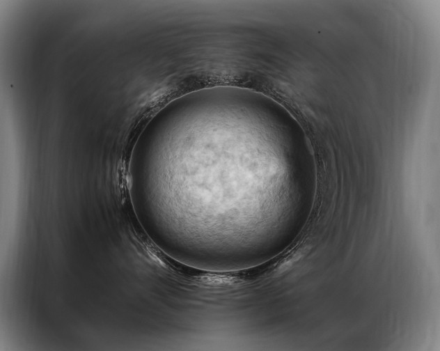 X0000087310528200704201212