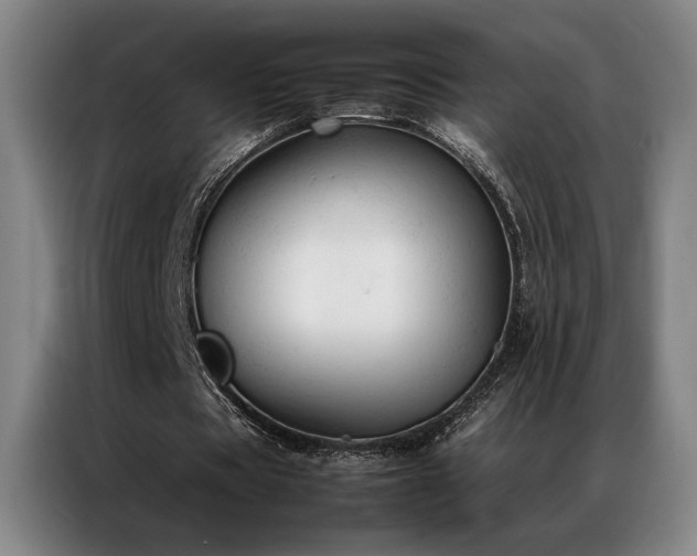 X0000087310529200704201212