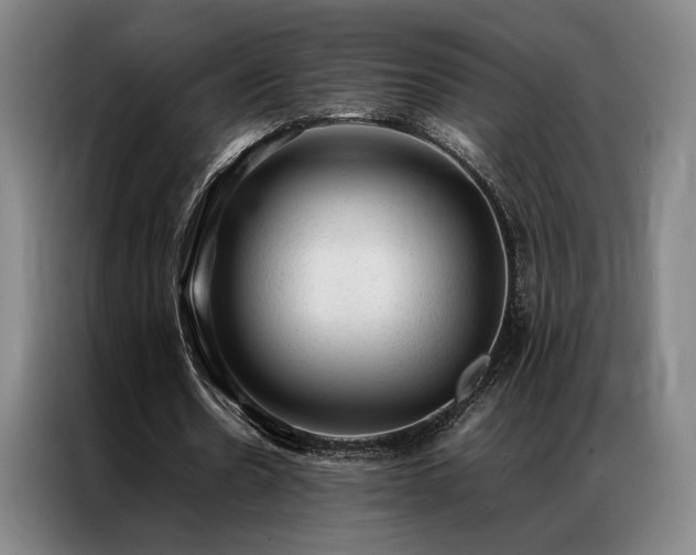 X0000087310530200704201212