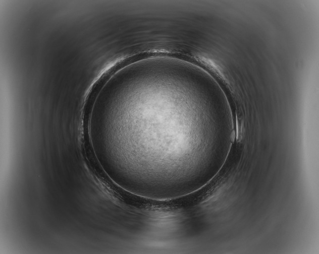 X0000087310531200704201212