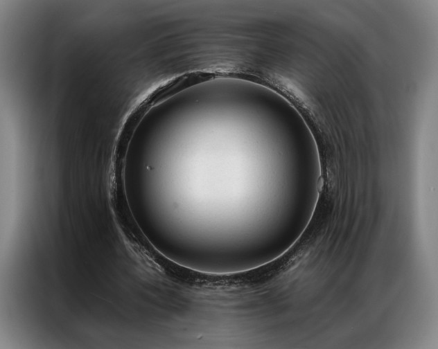 X0000087310532200704201212