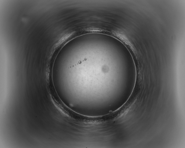X0000087310533200704201212
