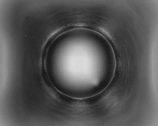 X0000087310535200704201212