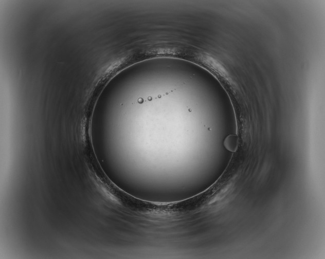 X0000087310537200704201212