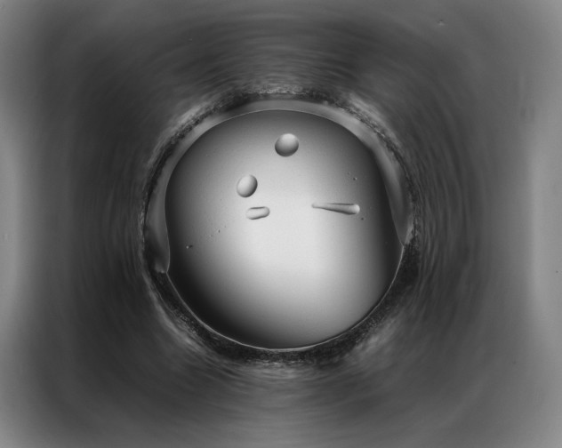X0000087310538200704201212