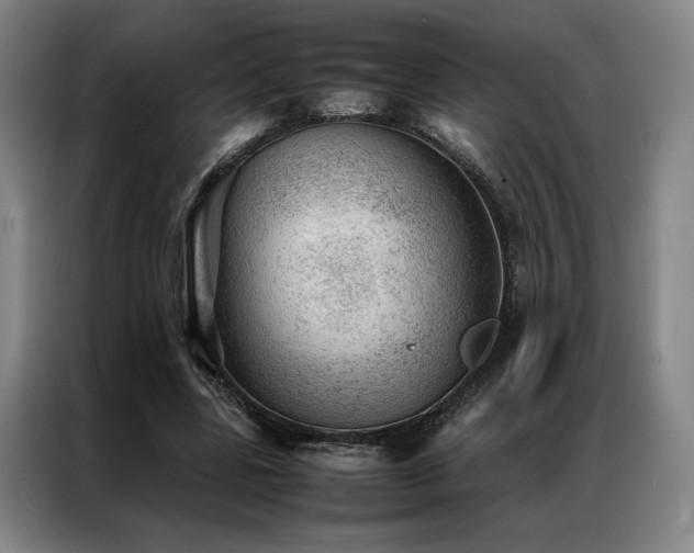X0000087310539200704201212