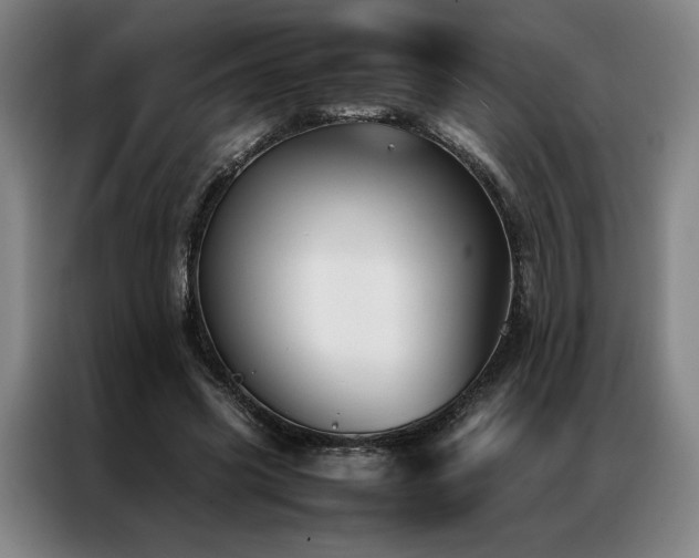 X0000087310541200704201212