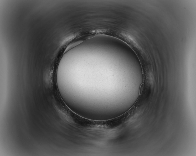 X0000087310543200704201212