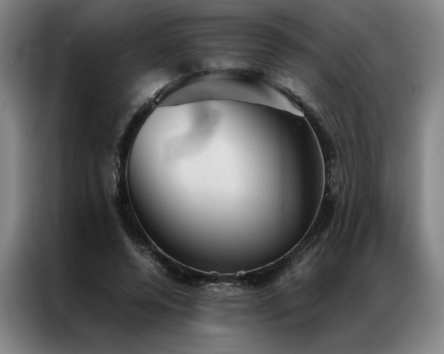 X0000087310544200704201212