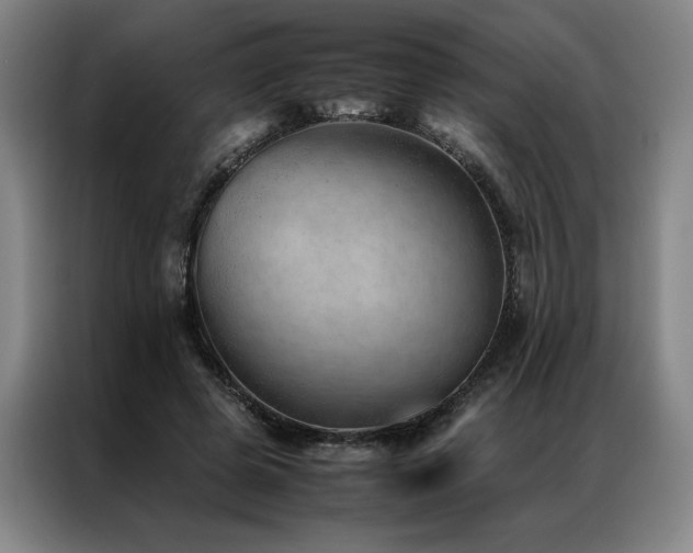 X0000087310545200704201212