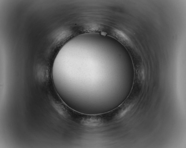 X0000087310546200704201212