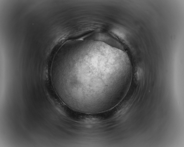 X0000087310547200704201212