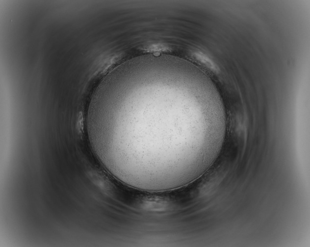 X0000087310549200704201212