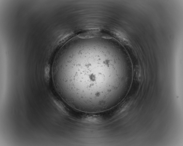 X0000087310550200704201212